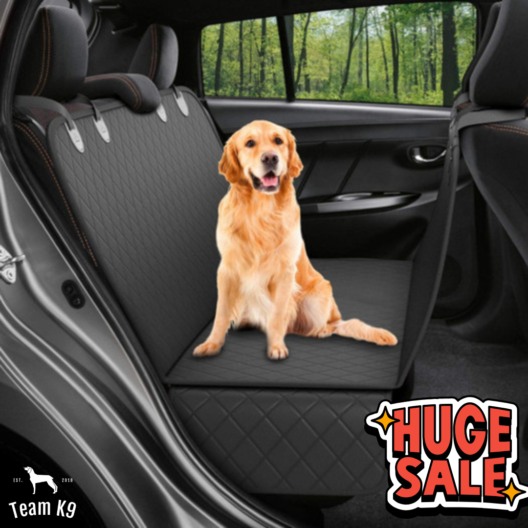 Team K9 Facebook ad