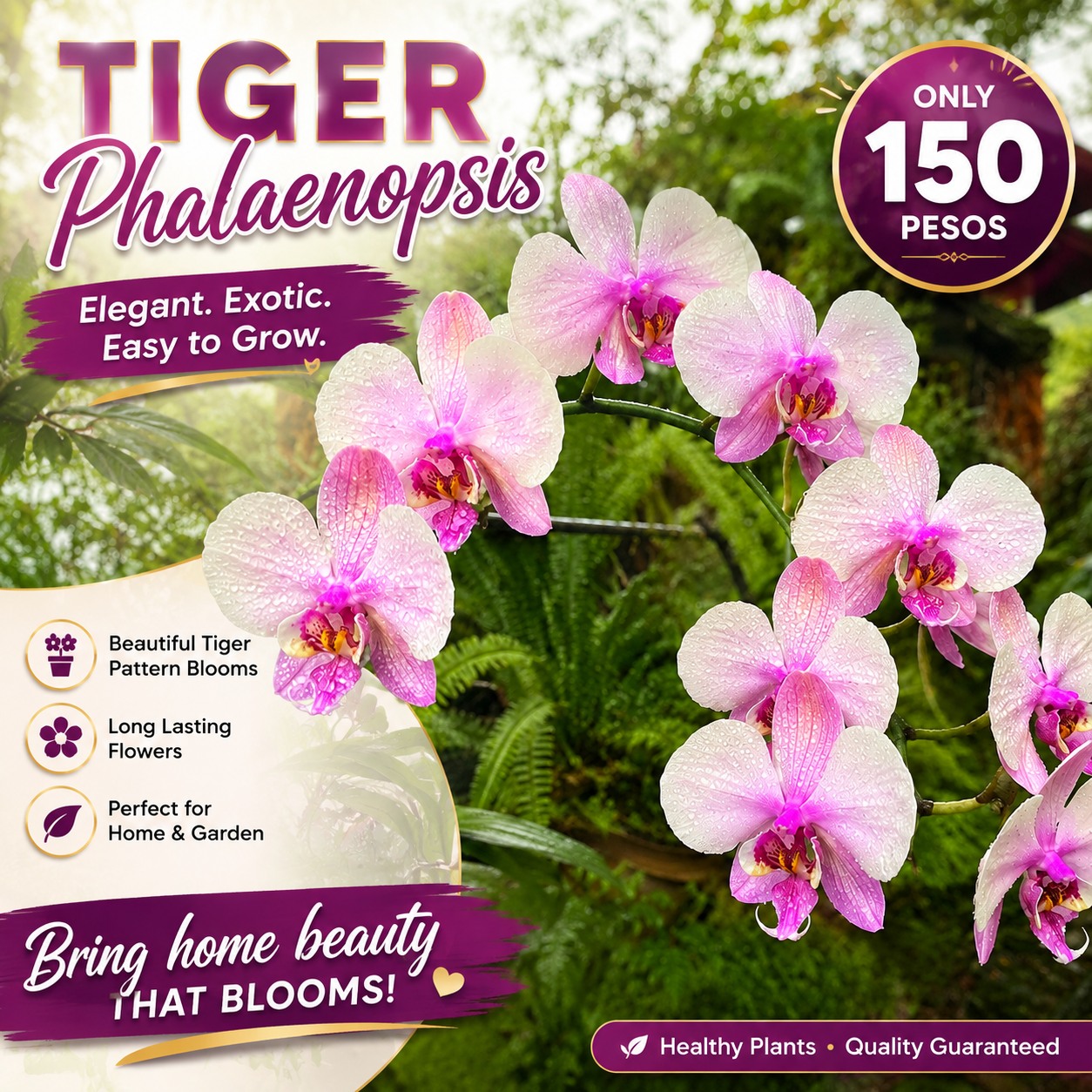 Mini Flora Facebook ad: Nakakaganda ng bahay, nakakagaan pa ng bulsa.