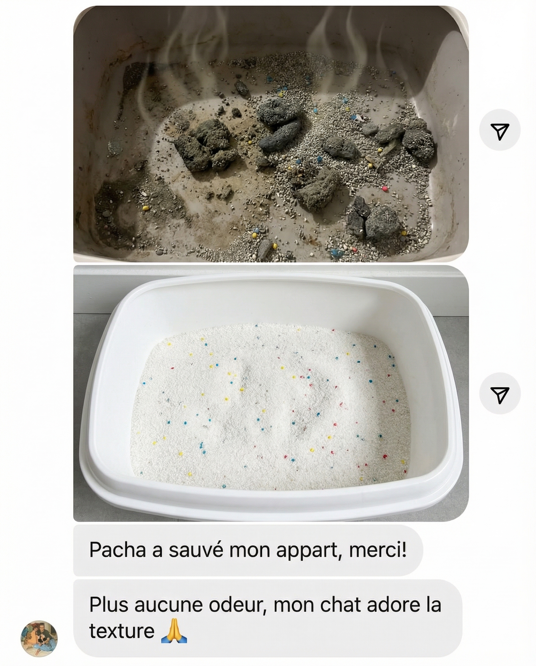 Pacha Facebook ad