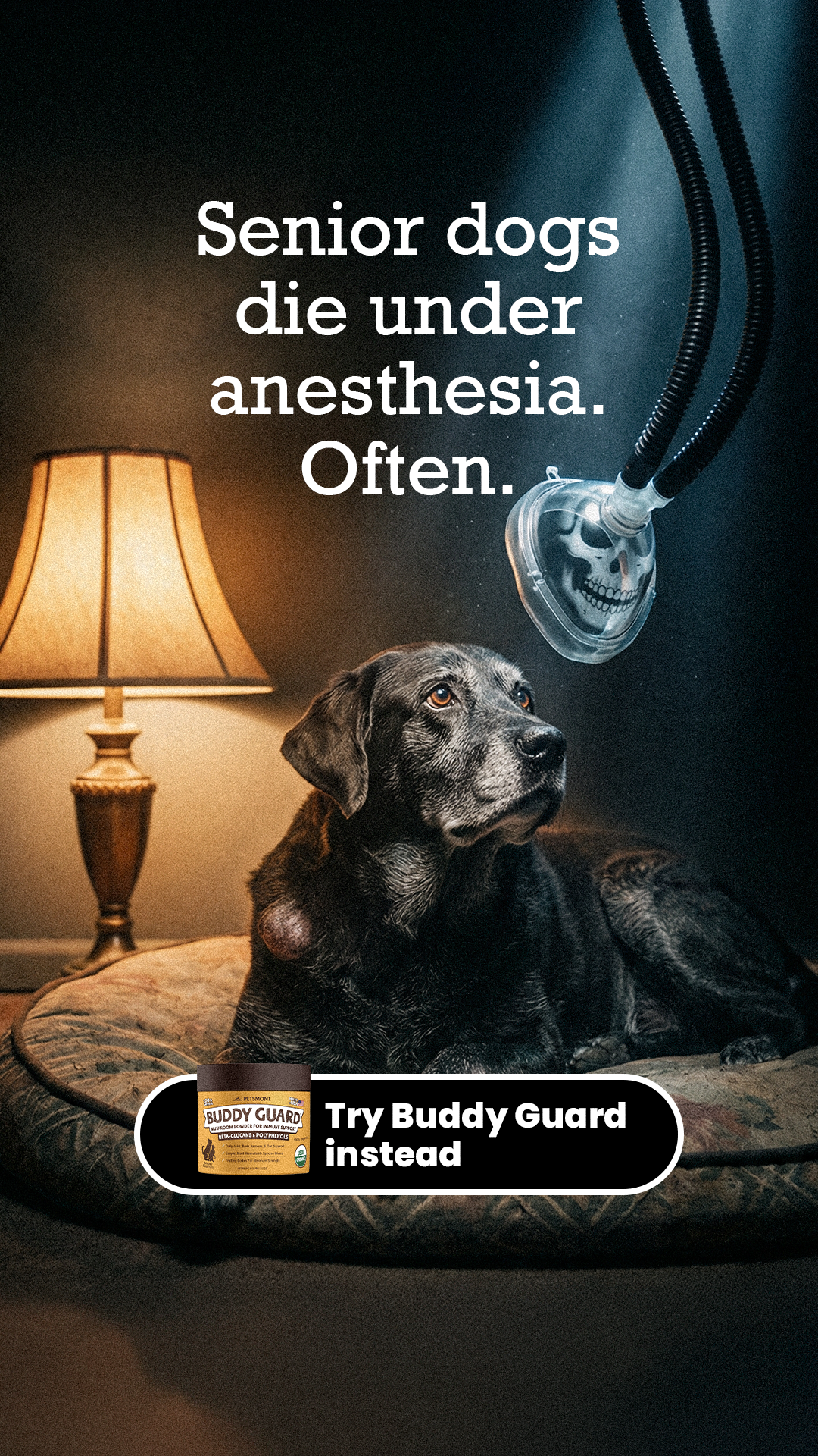 Petsmont Facebook ad