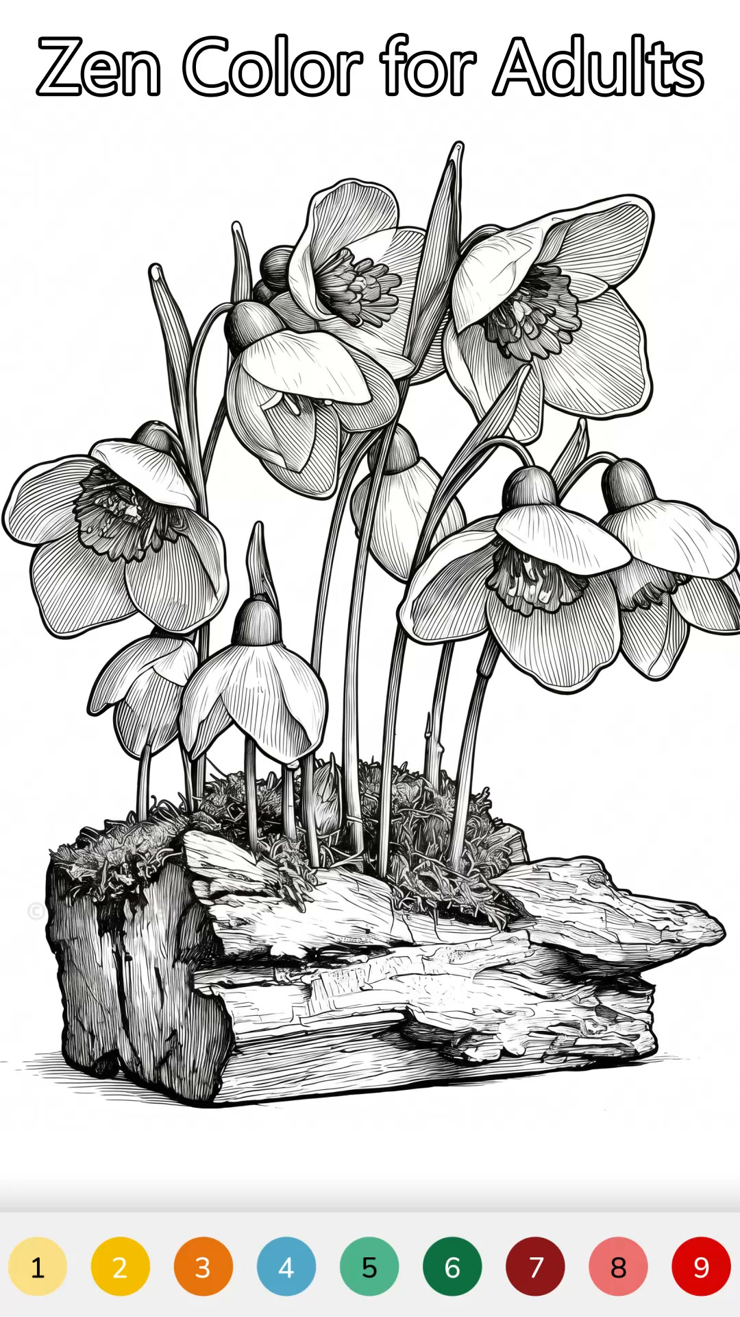 Free Color Game Facebook ad: Zen Color - Your Coloring Book 2026