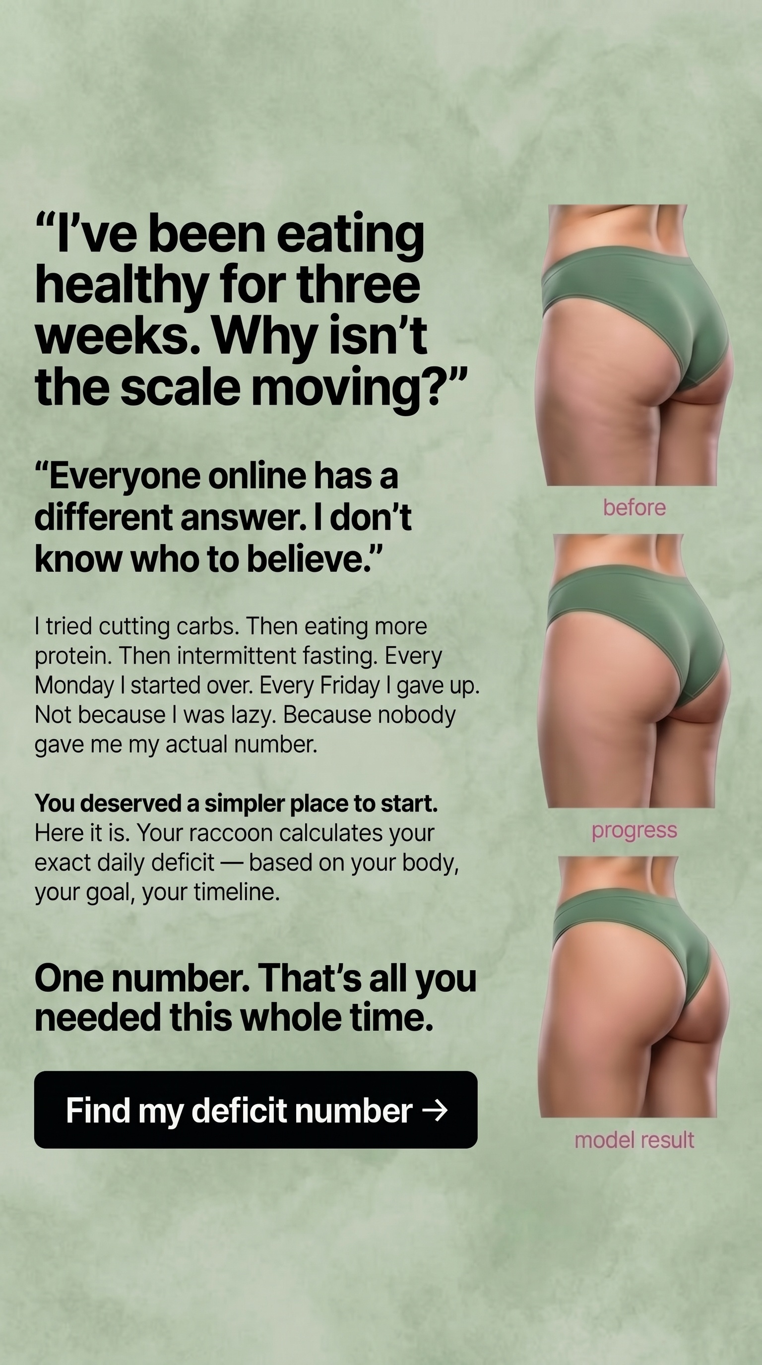 BitePal: Fasting Coach Facebook ad