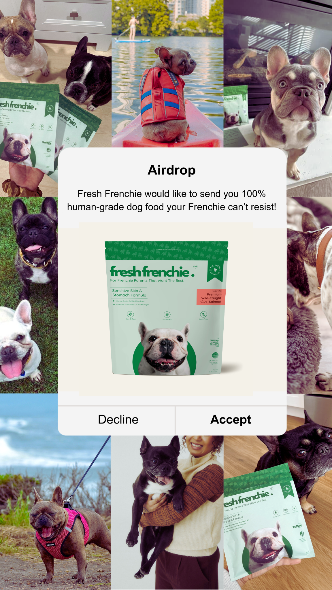 Fresh Frenchie Facebook ad