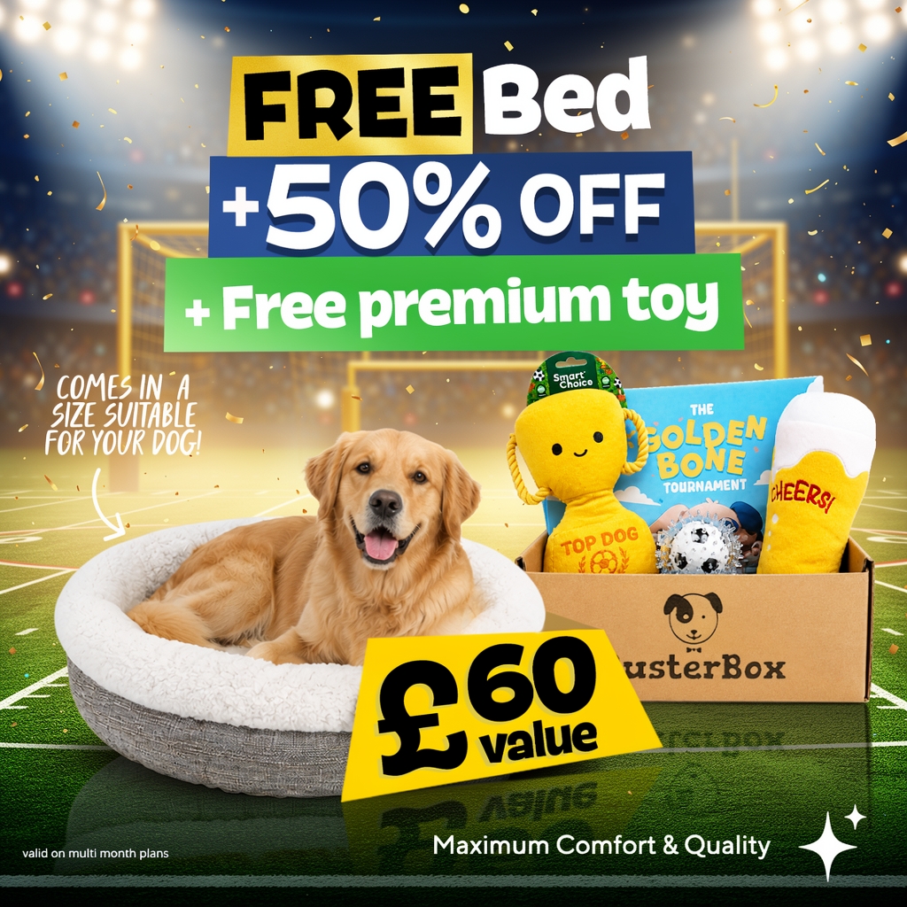 BusterBox Facebook ad