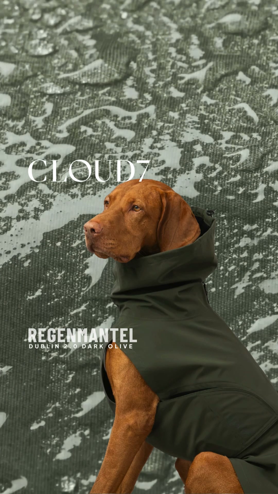 Cloud7 Facebook ad: Wetterfest für jeden Hund