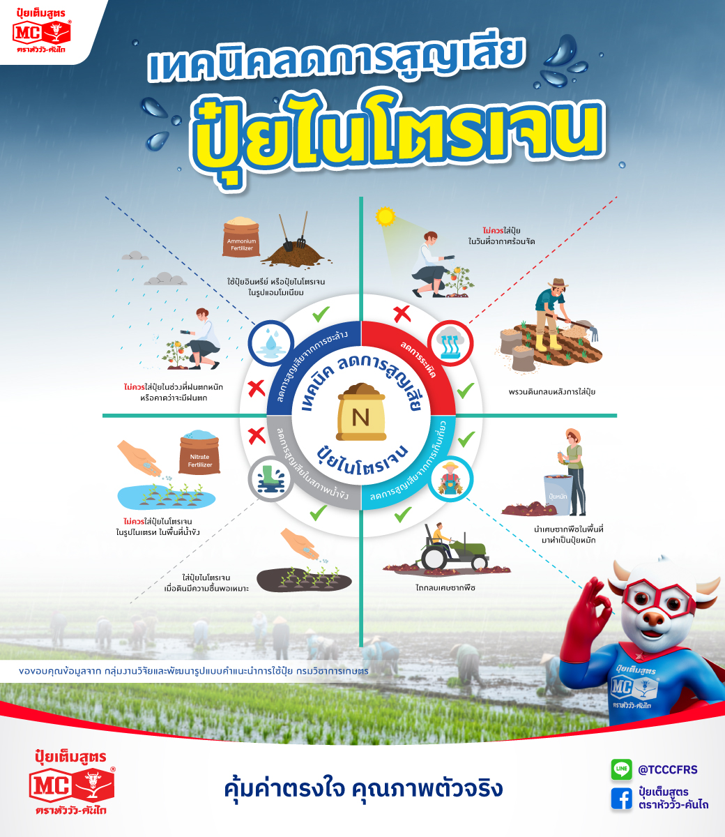 ปุ๋ยเต็มสูตร ตราหัววัว-คันไถ Facebook ad: เทคนิค ลดการสูญเสียไนโตรเจน 
