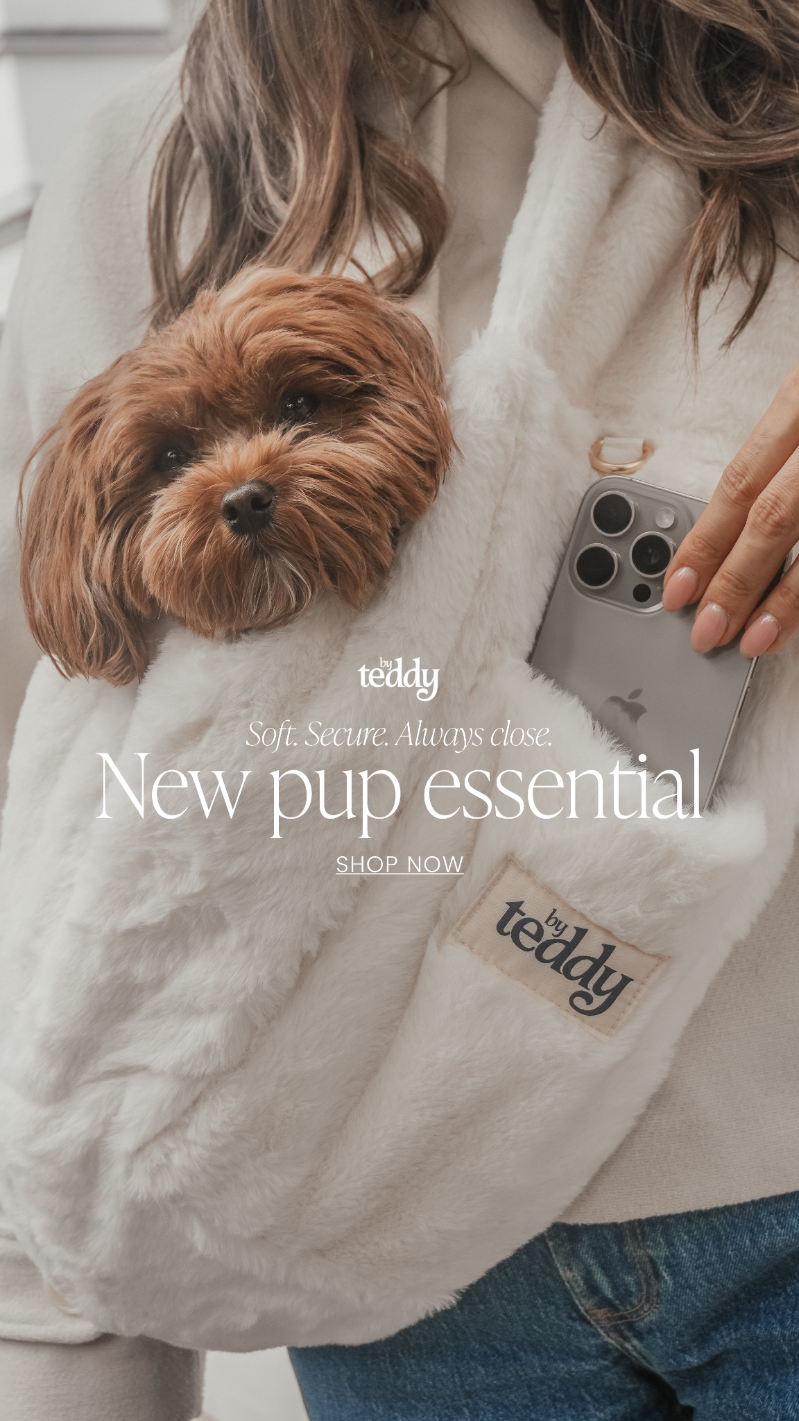 By Teddy Facebook ad