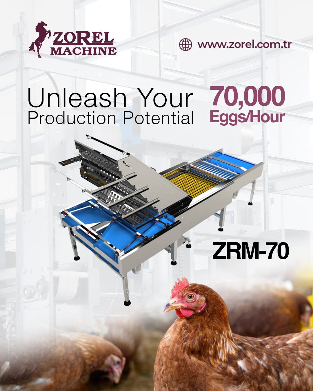 Zorel Machine Facebook ad