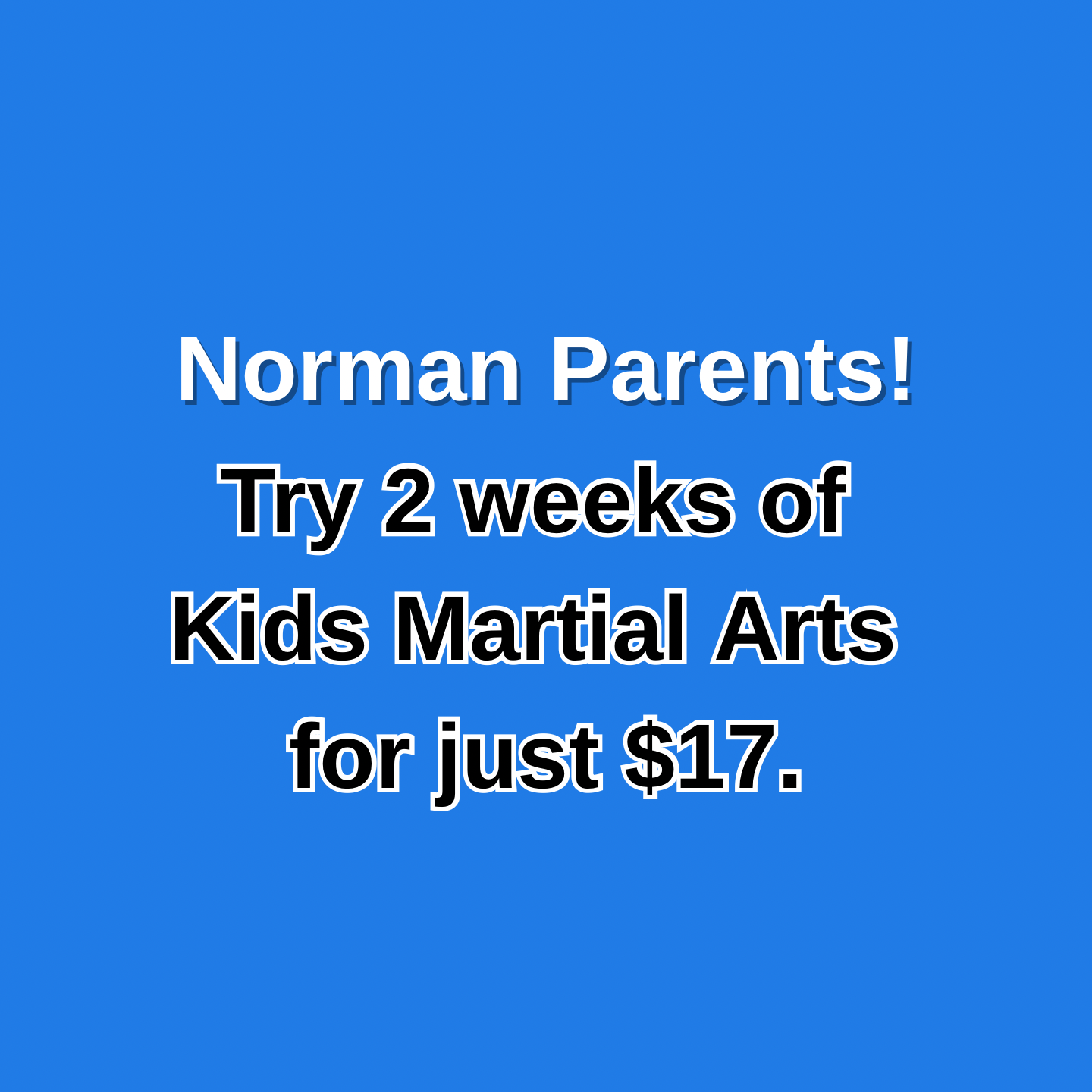 Vision Martial Arts Academy Facebook ad