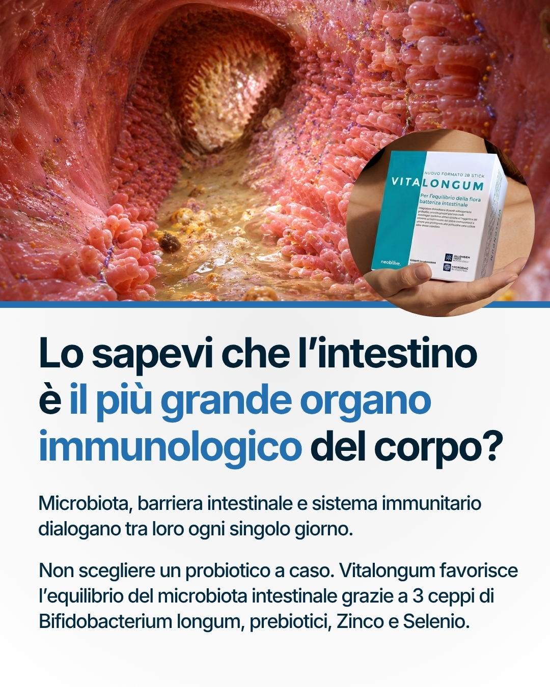Neobilive Facebook ad from Sep 8, 2026