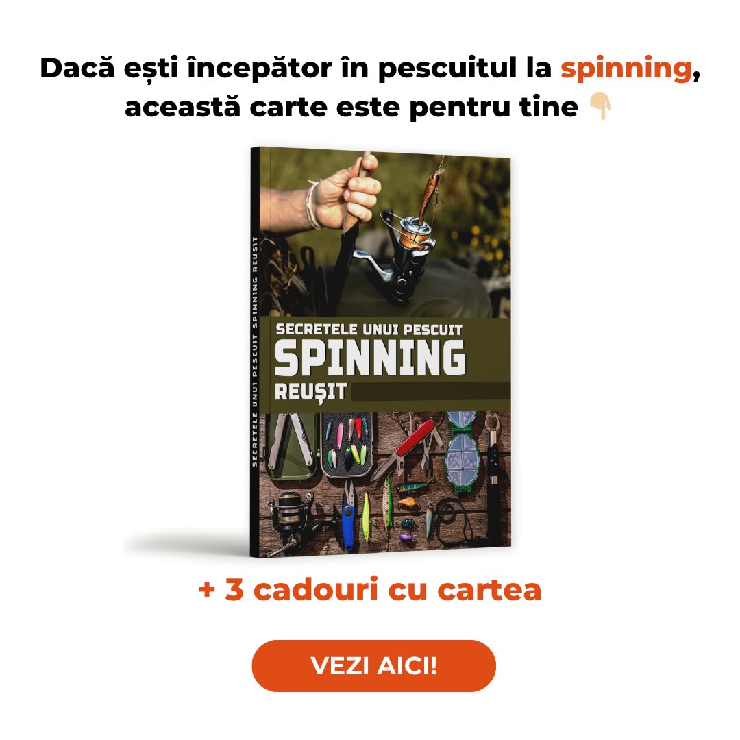 Secretele unui pescuit spinning reușit Facebook ad