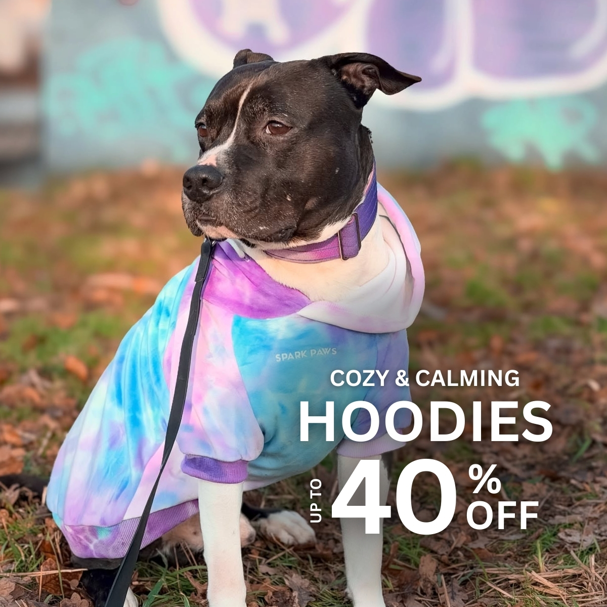 Spark Paws Facebook ad
