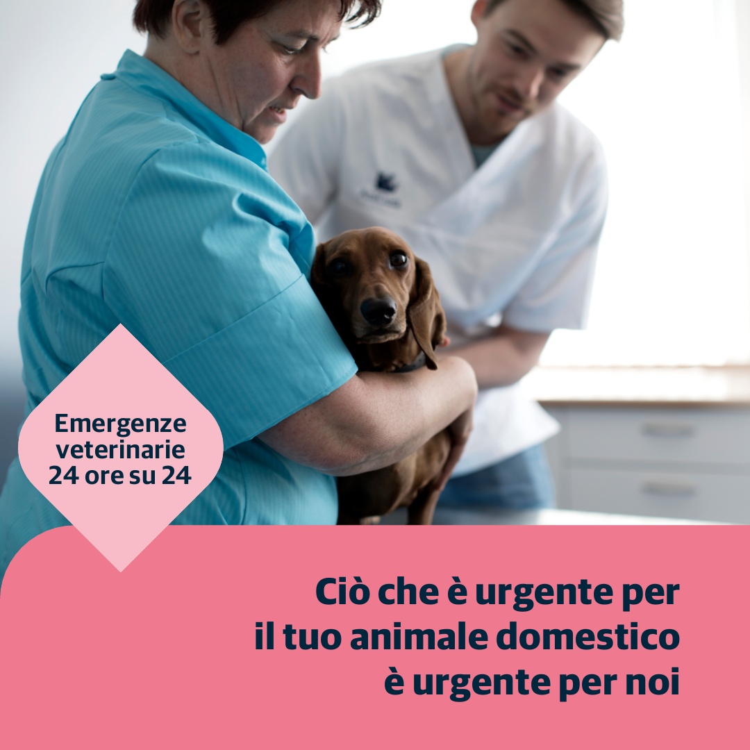 AniCura Italy Facebook ad: Emergenze veterinarie 24 ore su 24