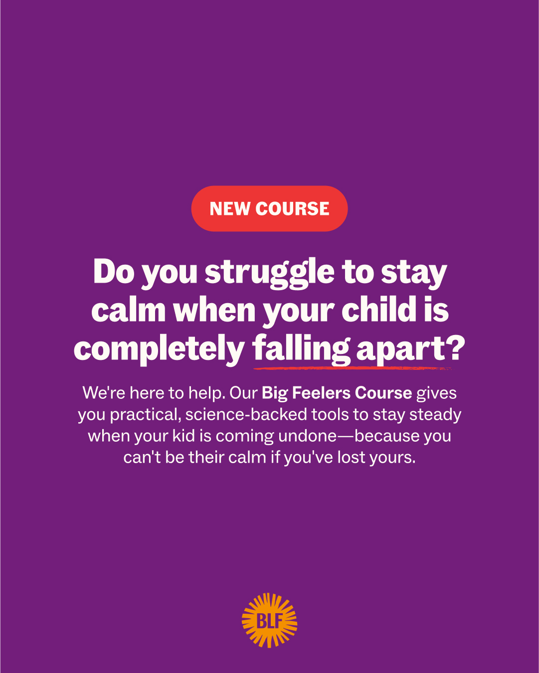 Big Little Feelings Facebook ad