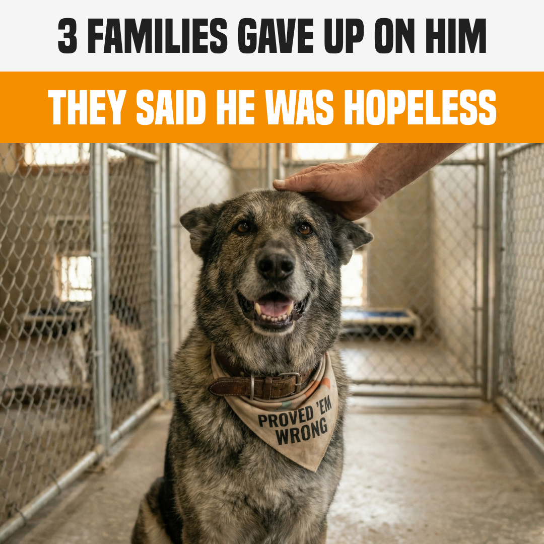 PuppyPad Facebook ad