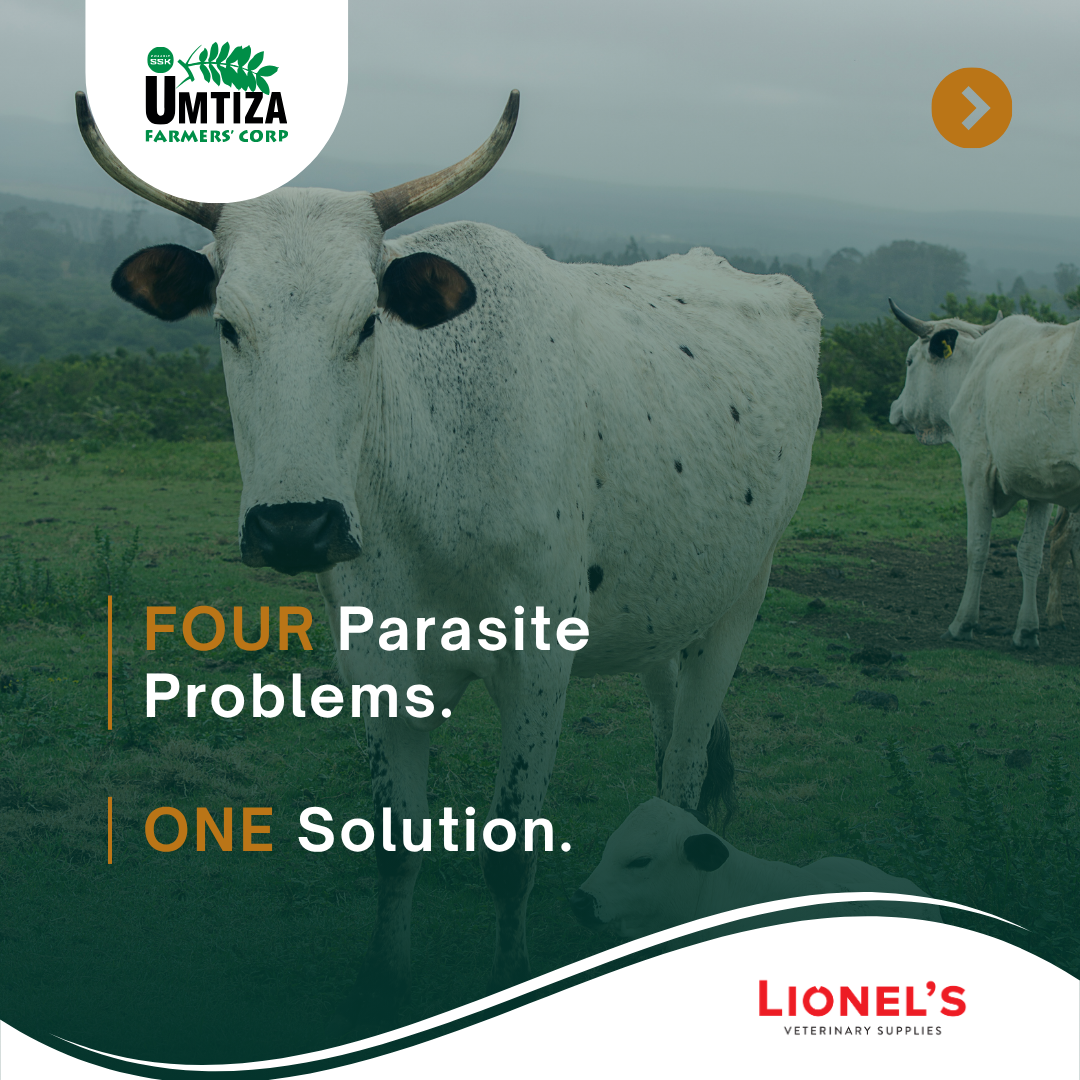 Lionel's Veterinary Supplies Facebook ad: Umtiza Braches