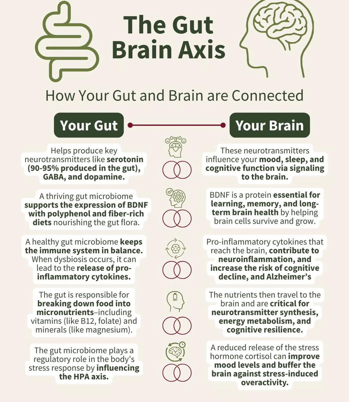 Dr. Ramona Victoria Varga Facebook ad: https://drvargamicrobiome.com/microbiome-test/