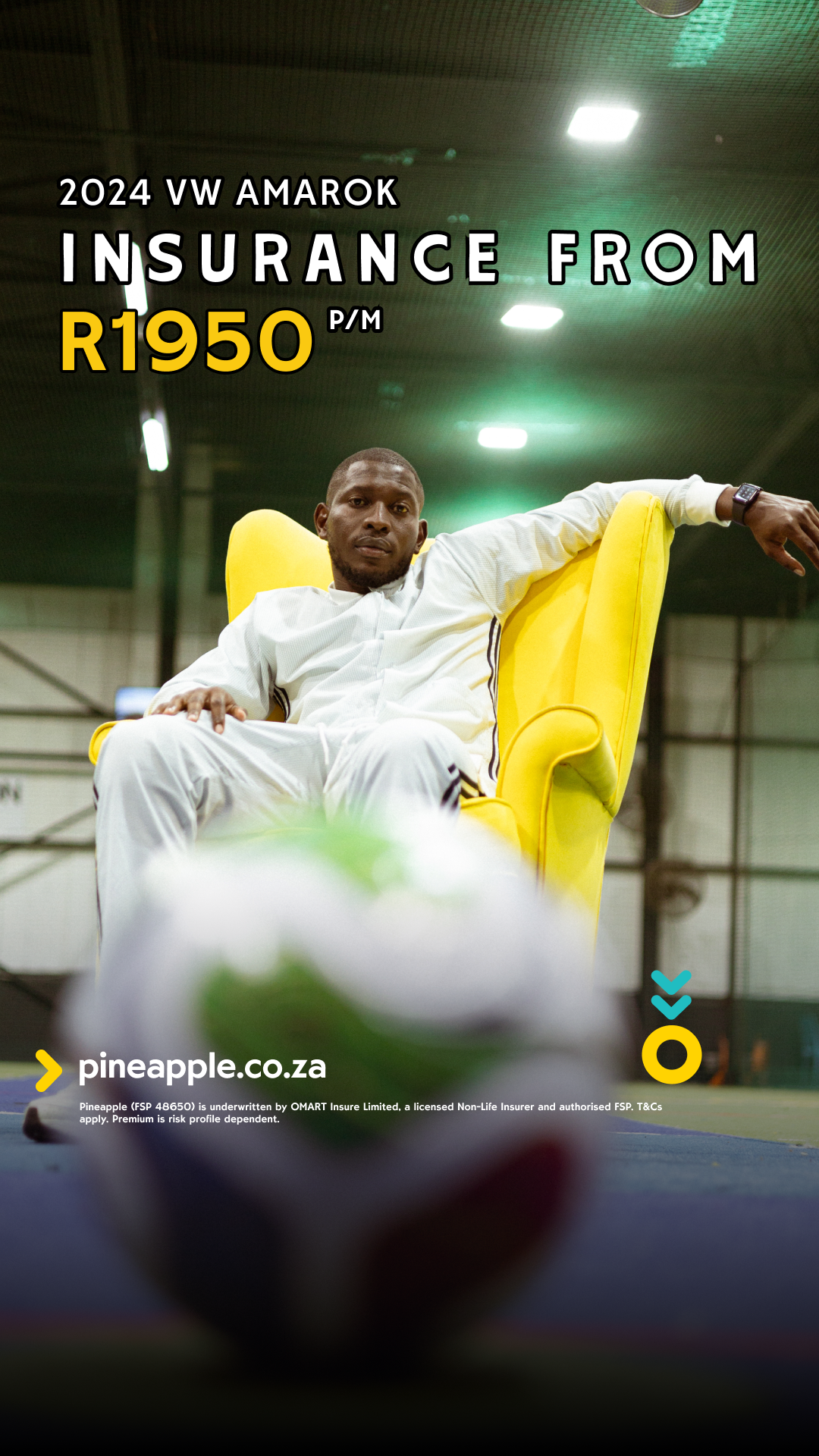 Pineapple Facebook ad