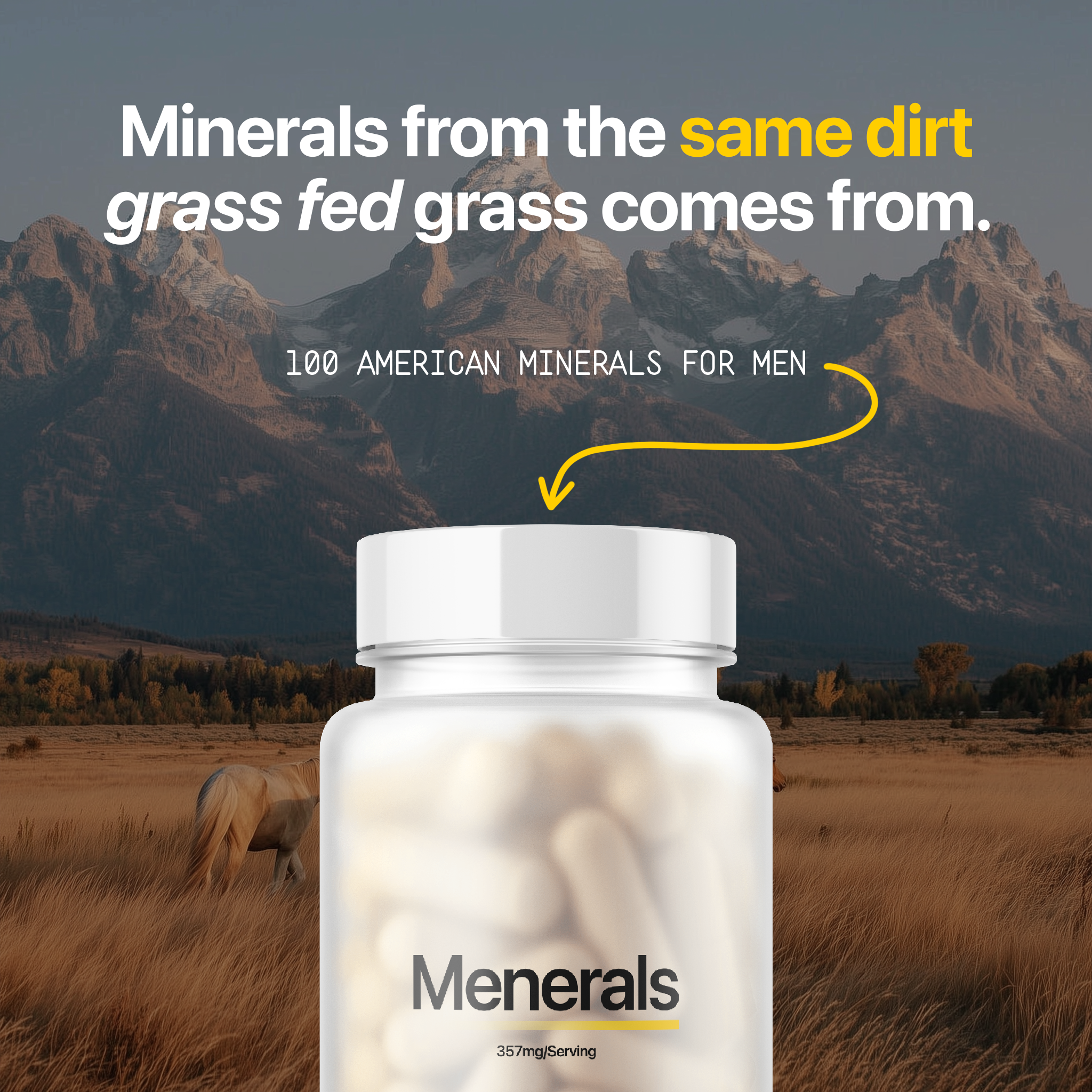 Menerals Facebook ad