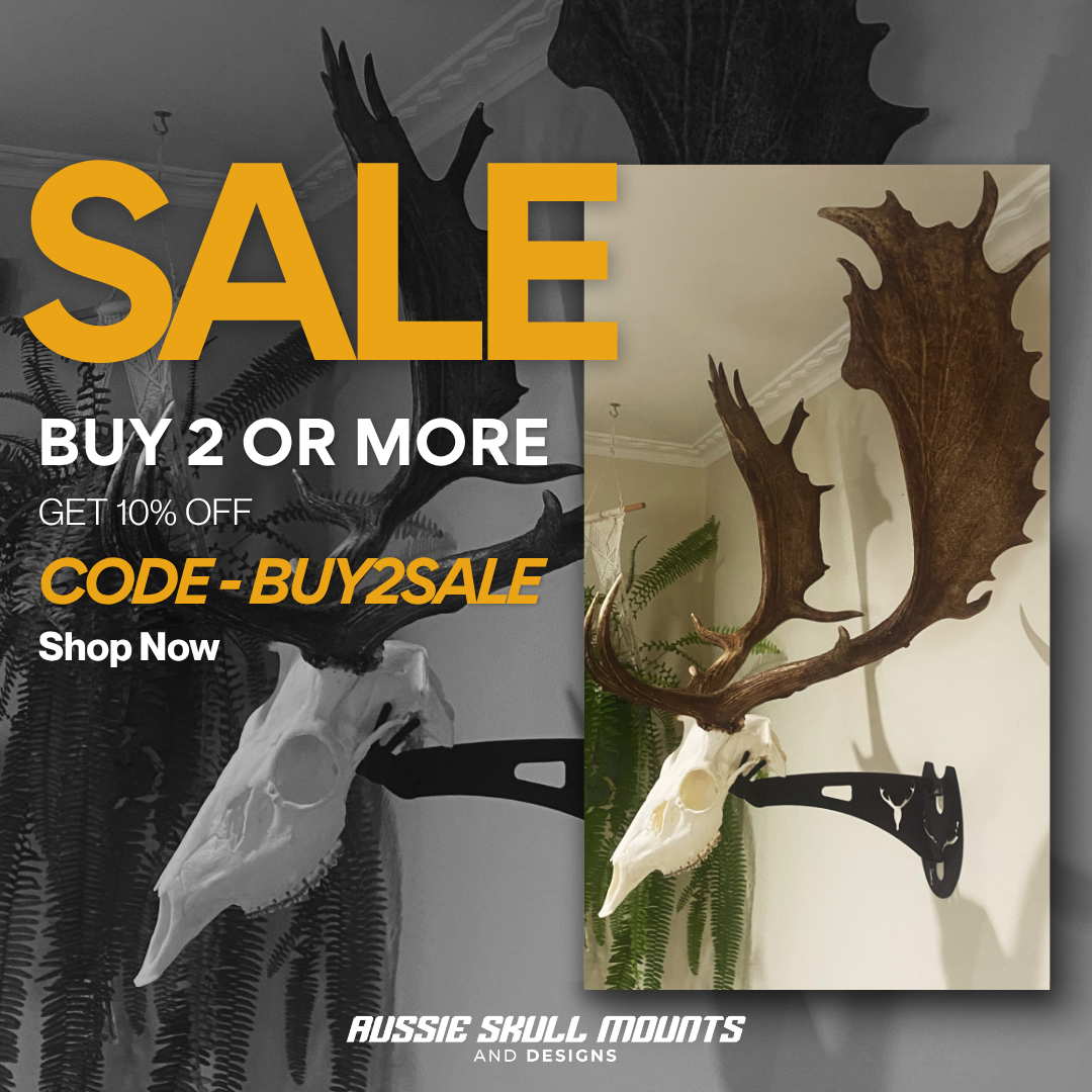 Aussie Skull Mounts and Designs Facebook ad