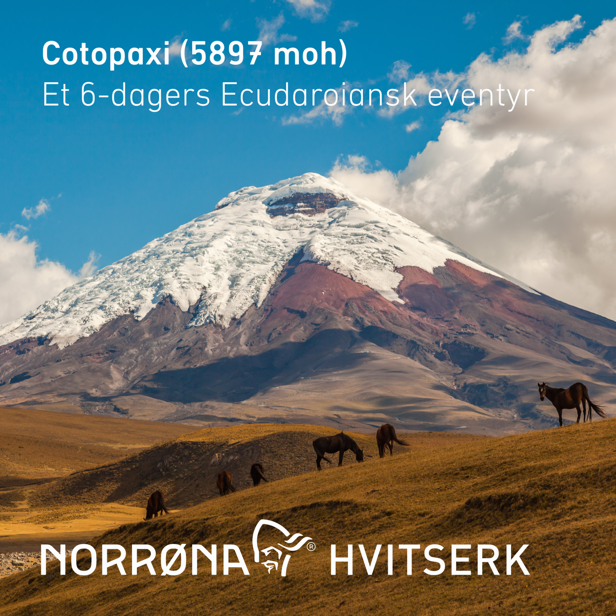 Norrøna Hvitserk Facebook ad
