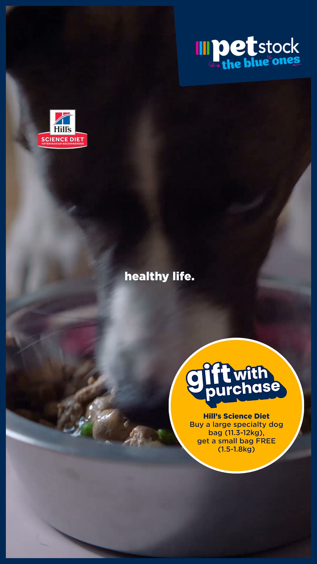 Petstock Facebook ad: Gift with purchase