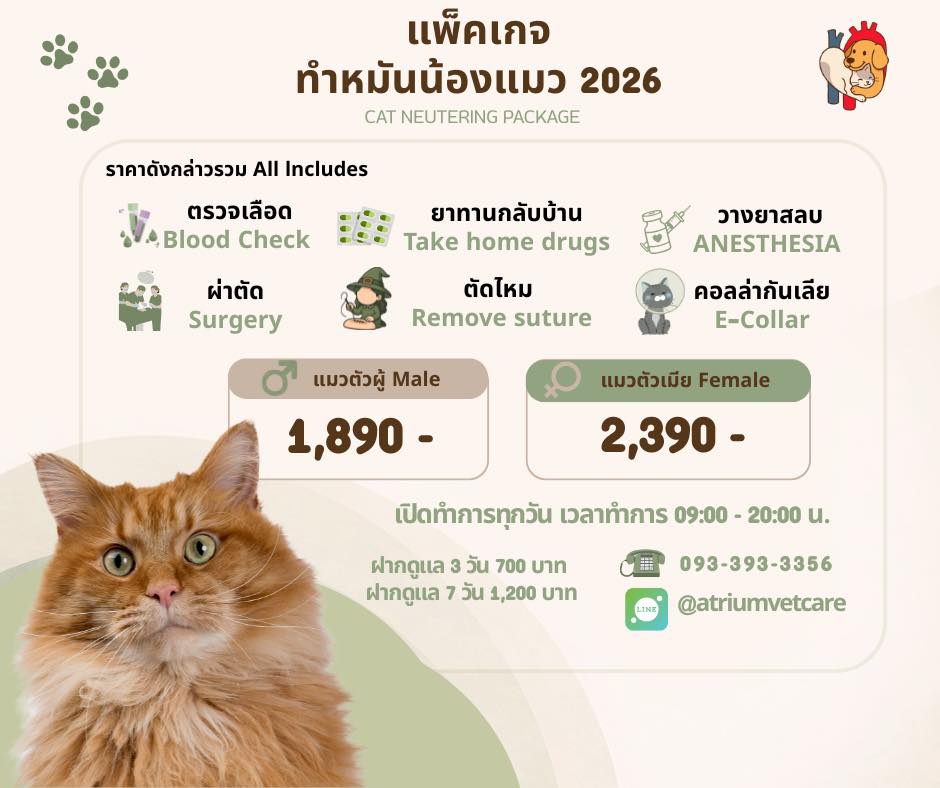 คลินิก เอเทรียม ลาดกระบัง-อ่อนนุช รักษาสัตว์ Atrium Ladkrabang Vet Care Facebook ad: แพคเกจและราคาค่าบริการปี 2026