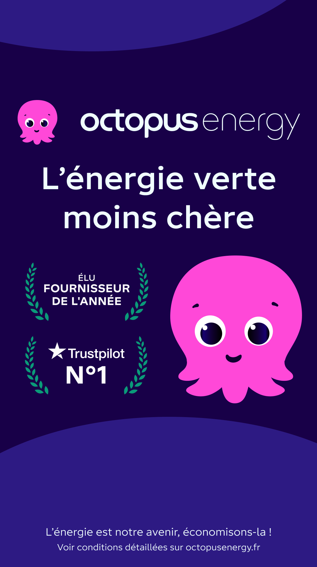Octopus Energy Facebook ad