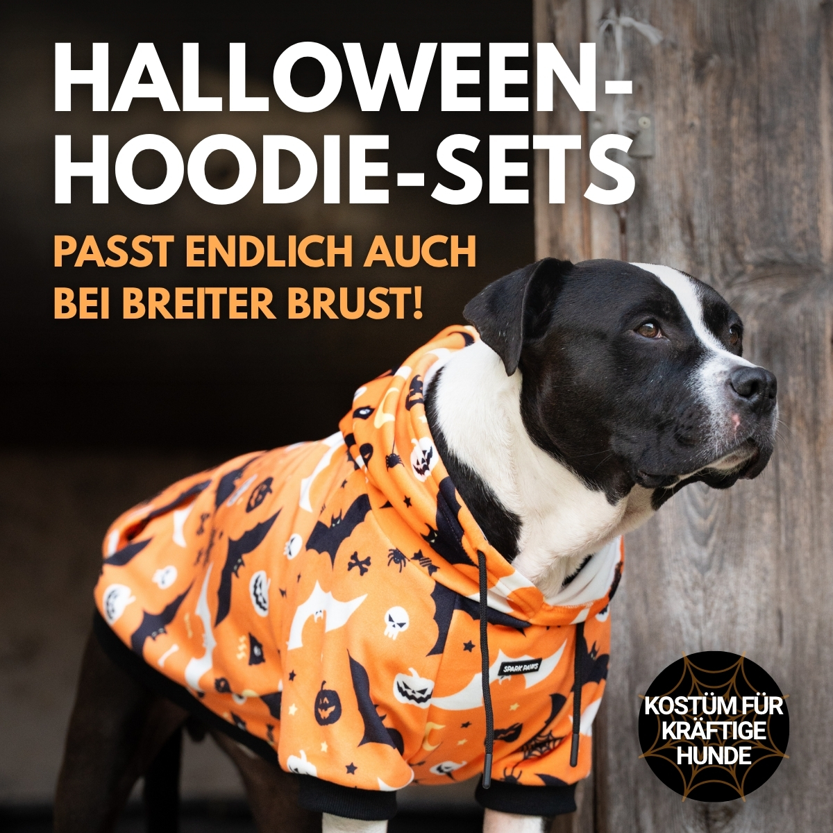 Spark Paws Facebook ad