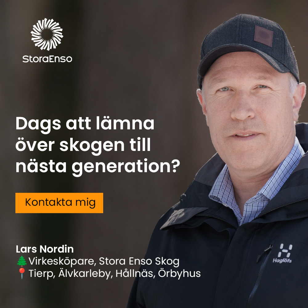 Stora Enso Skog Facebook ad from Nov 18, 2025