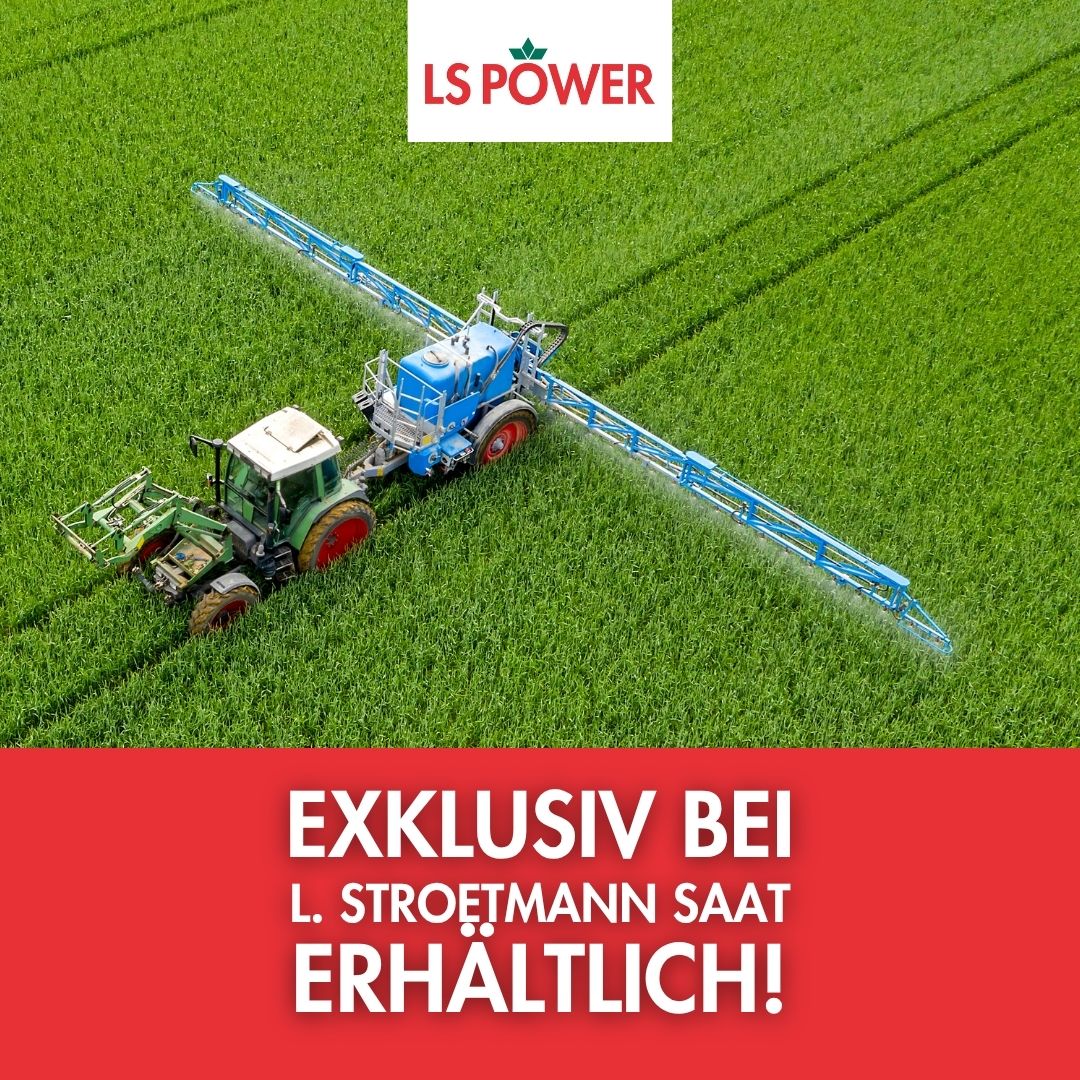 L. Stroetmann Saat Facebook ad