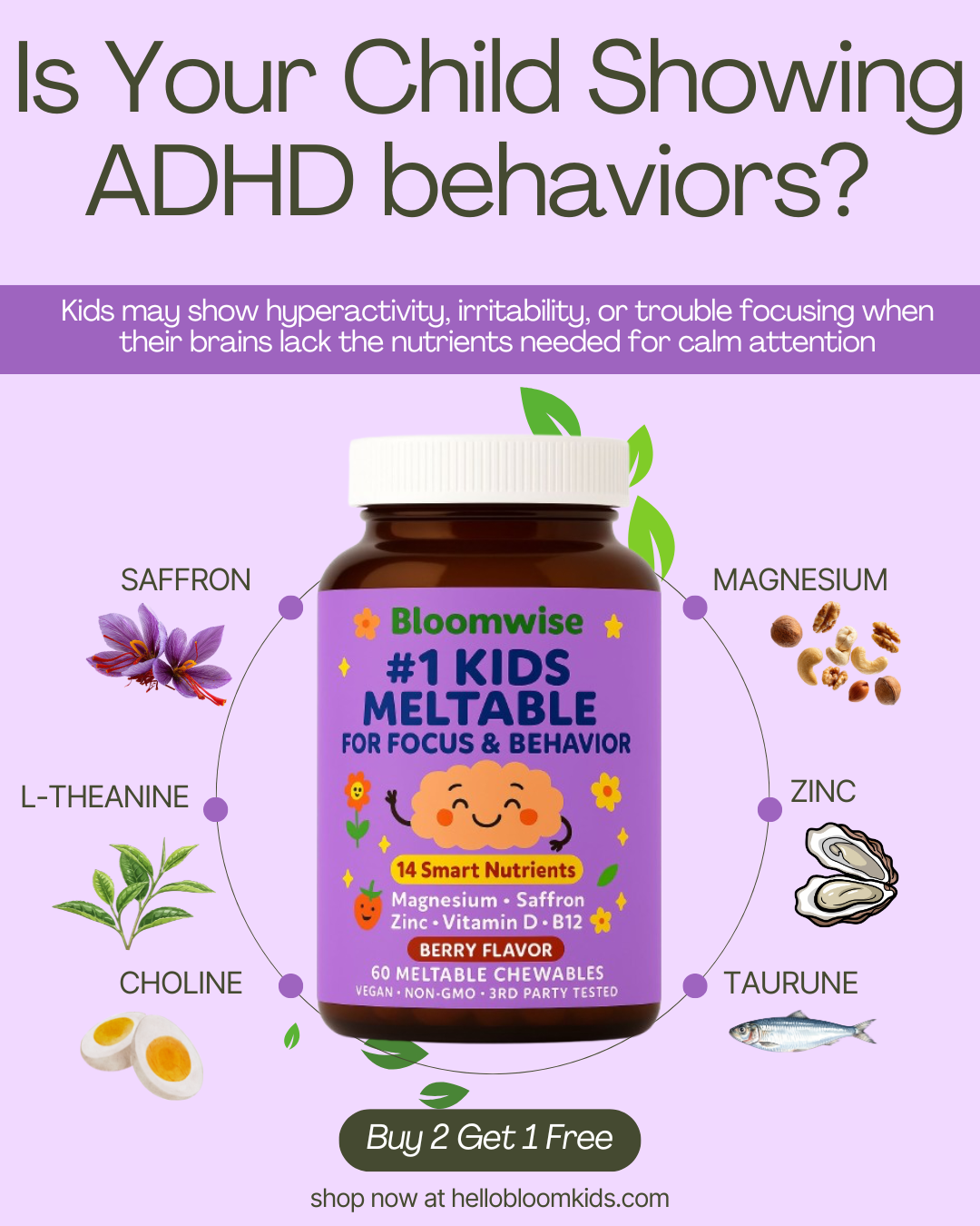 Hellobloomkids Facebook ad