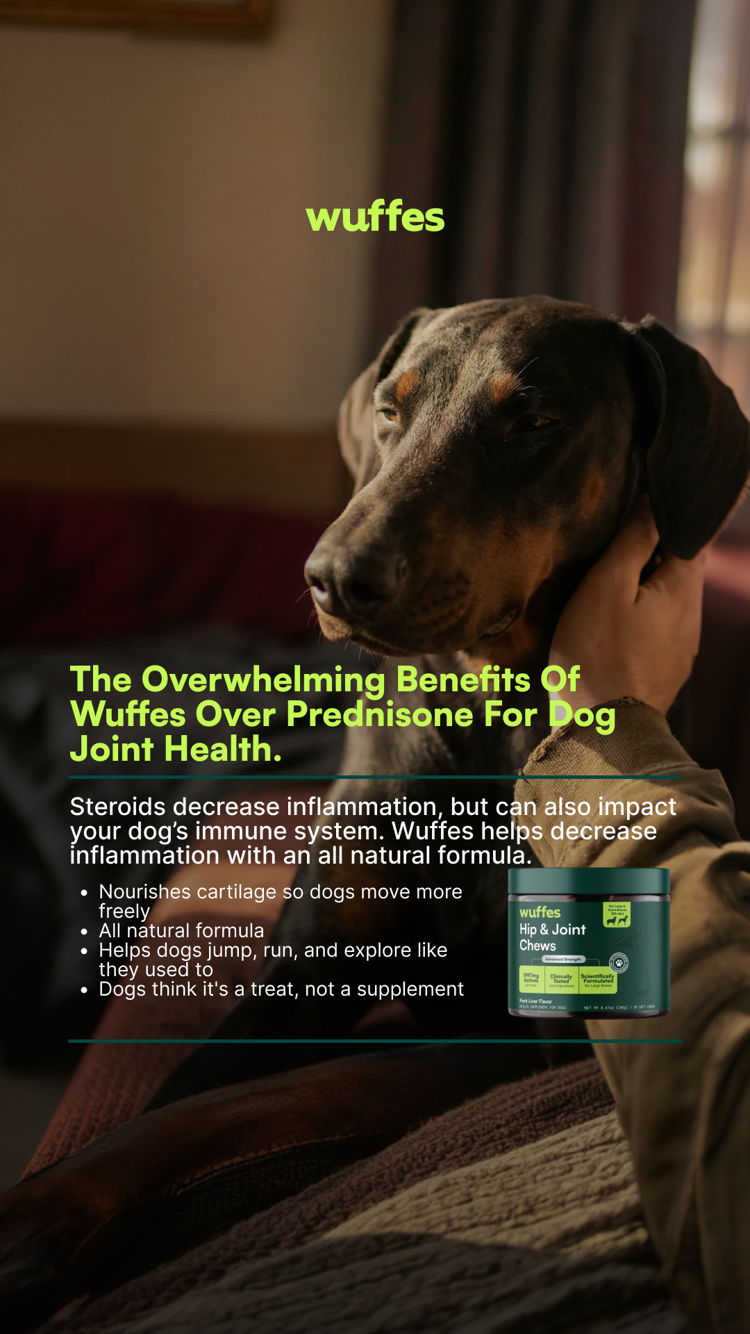 Everyday Pet Health Facebook ad