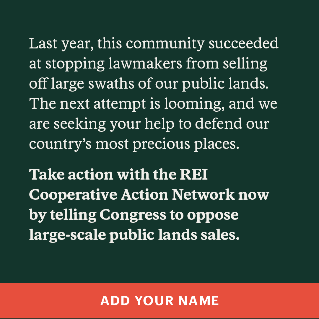 REI Facebook ad
