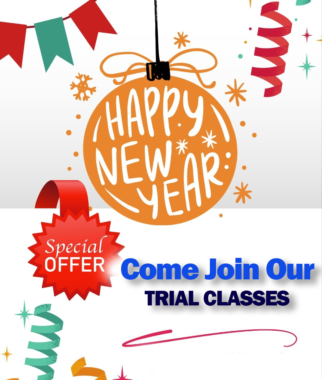 Elite White Tiger Taekwondo Facebook ad: 2 Weeks of Classes for ONLY $20