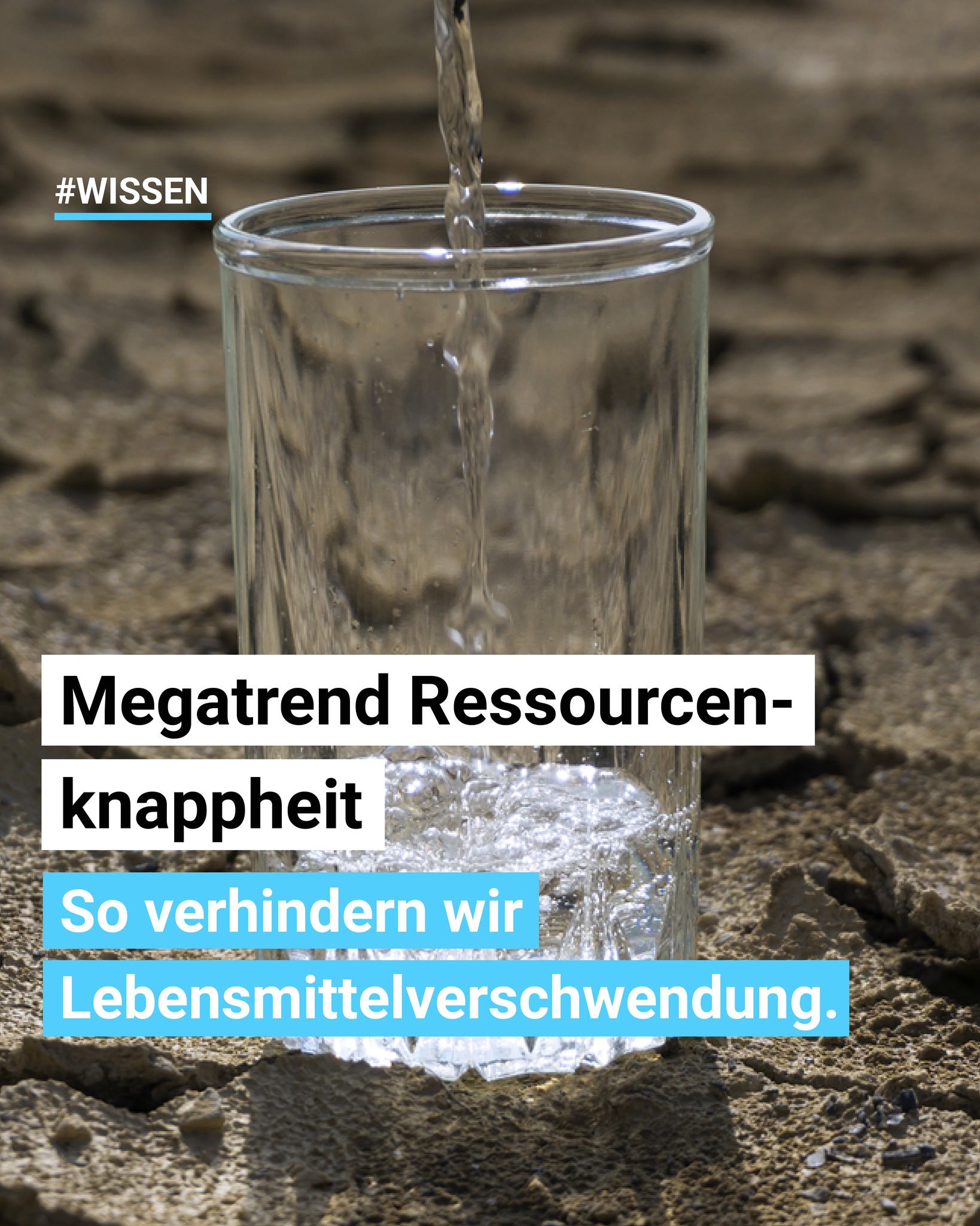 swiss-food.ch Facebook ad: Mehr anbauen mit weniger Ressourcen?