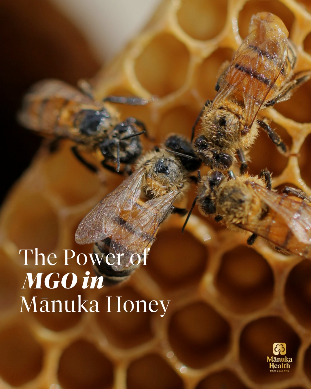 Manuka Health PH Facebook ad: Ever wondered why Manuka honey is so special?