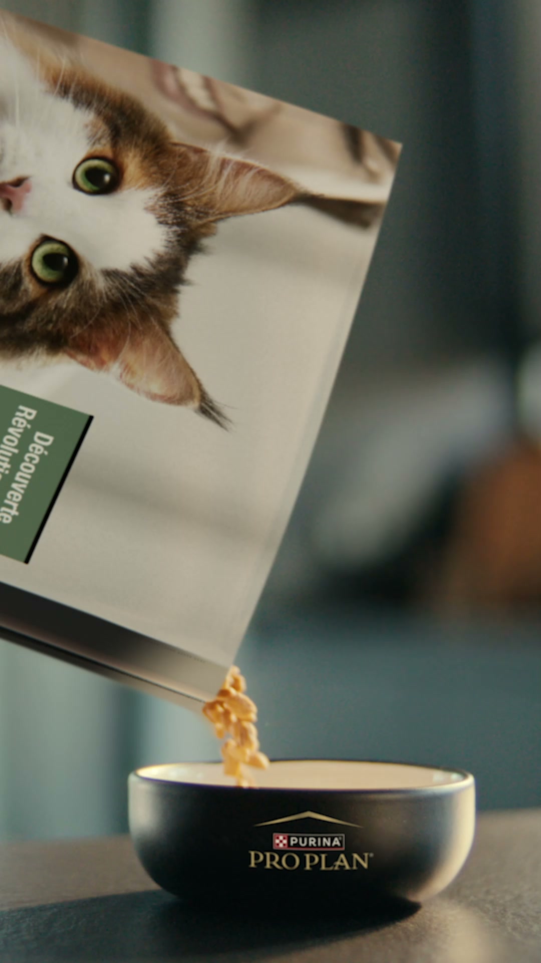 ProPlan France Facebook ad from Sep 10, 2026