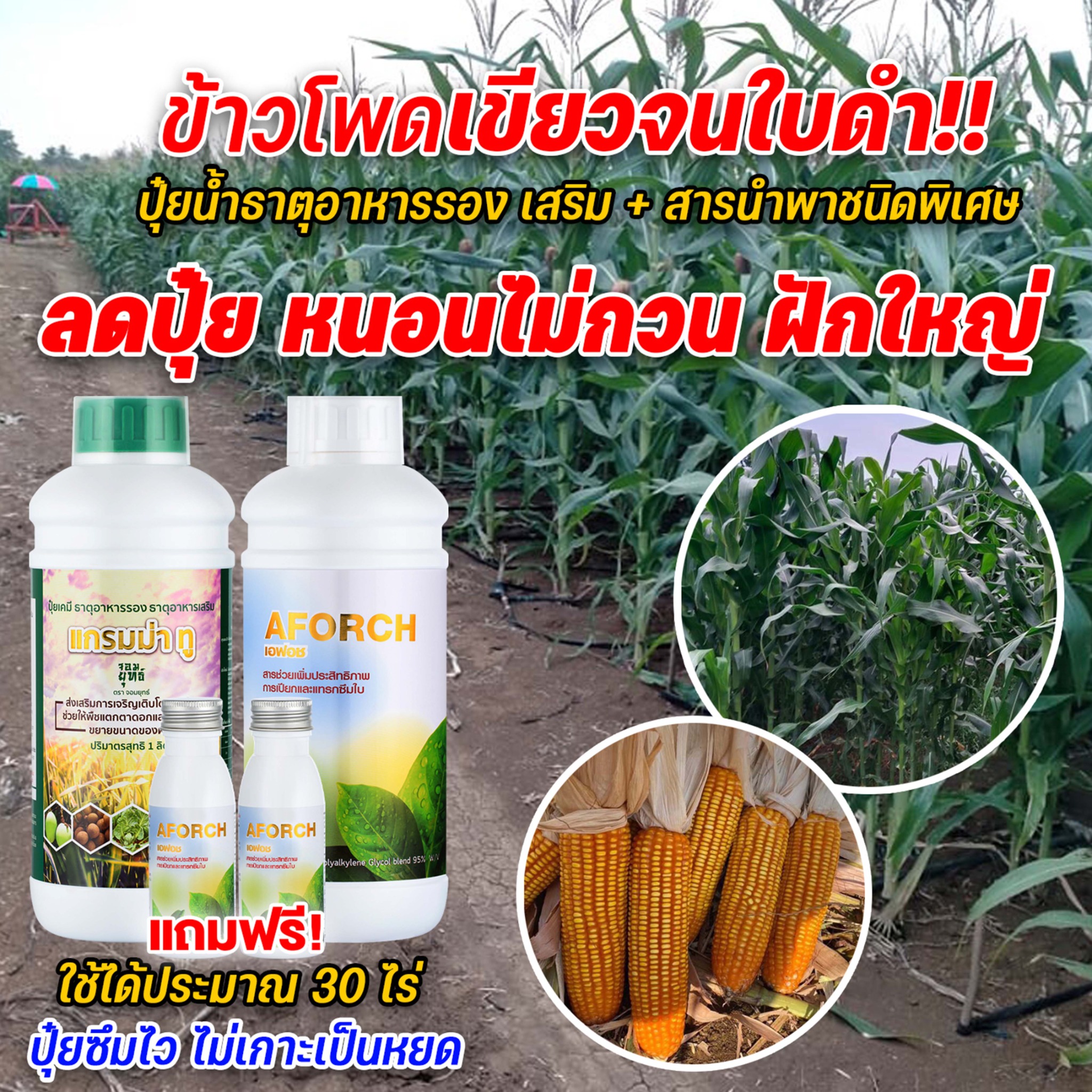เอฟอช เพื่อการเกษตร-เพจบริษัท Facebook ad: ส่งฟรี เก็บเงินปลายทาง