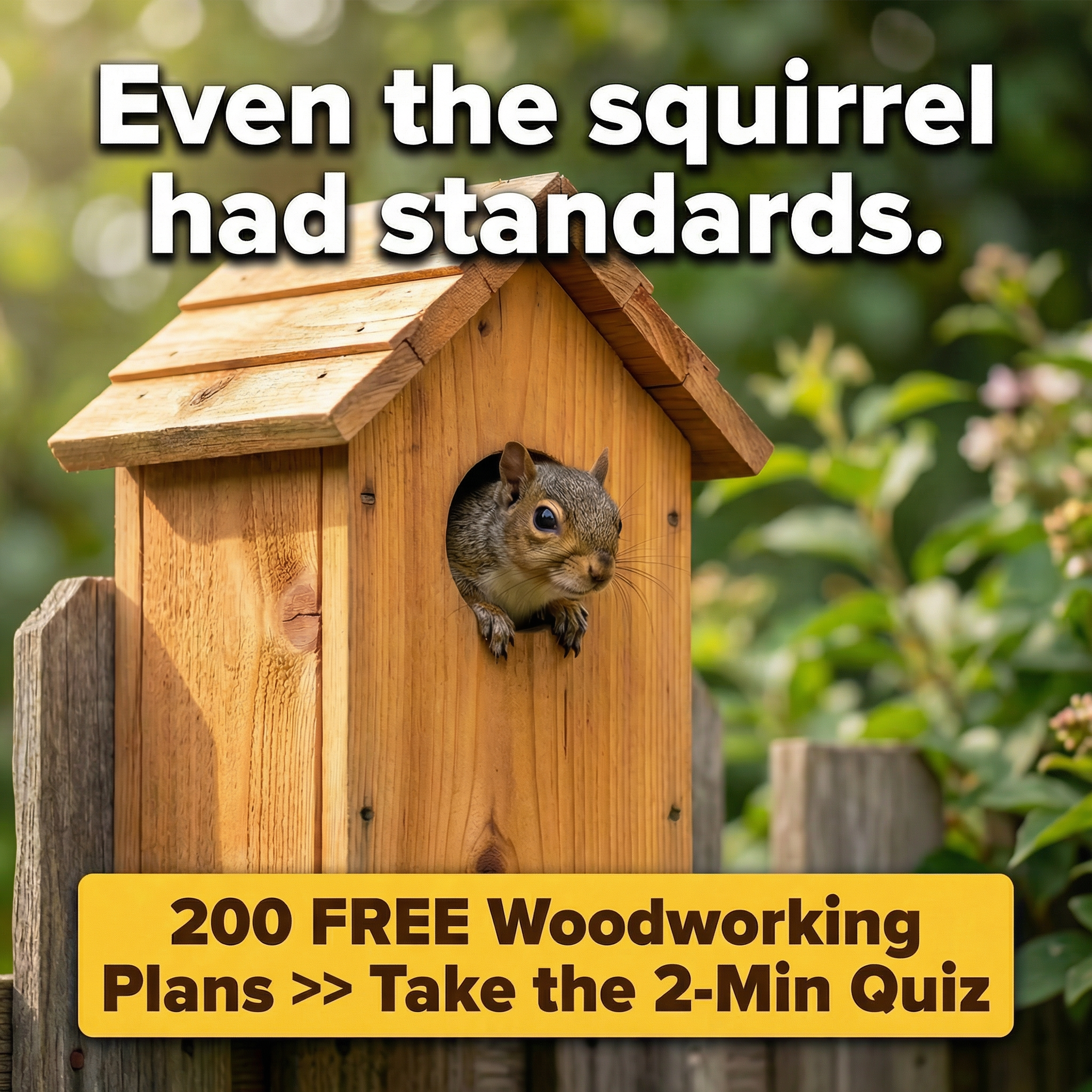 Everyday Home Projects Facebook ad: I Built It. A Squirrel Moved In.