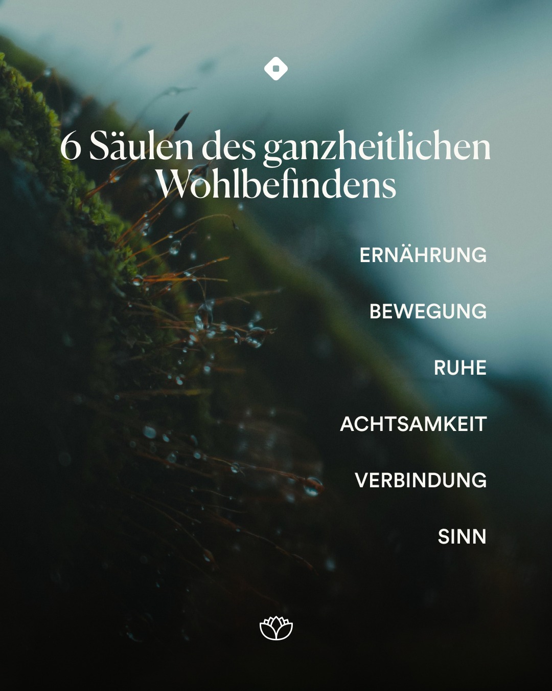 Scholistico Deutsch Facebook ad
