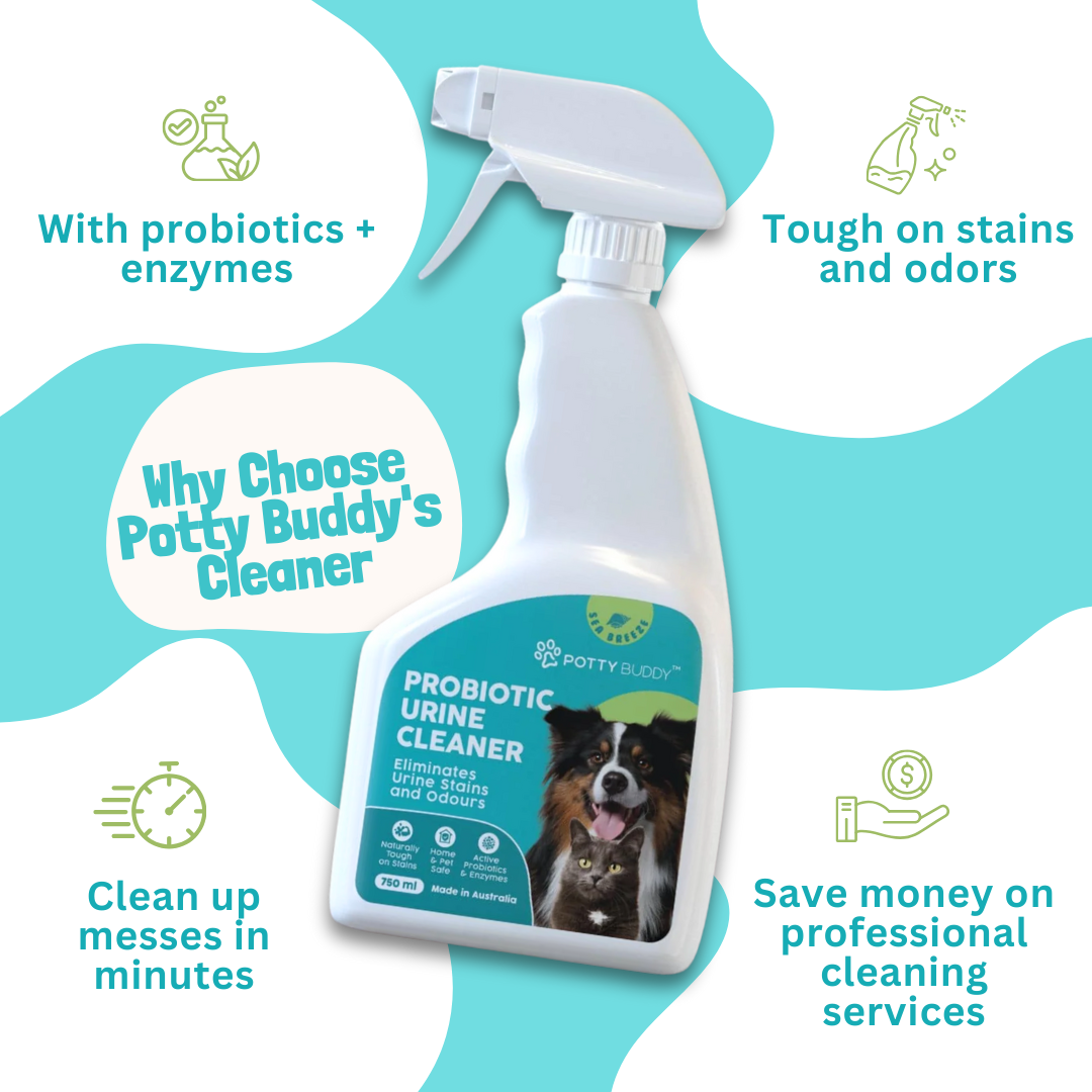 Potty Buddy Facebook ad