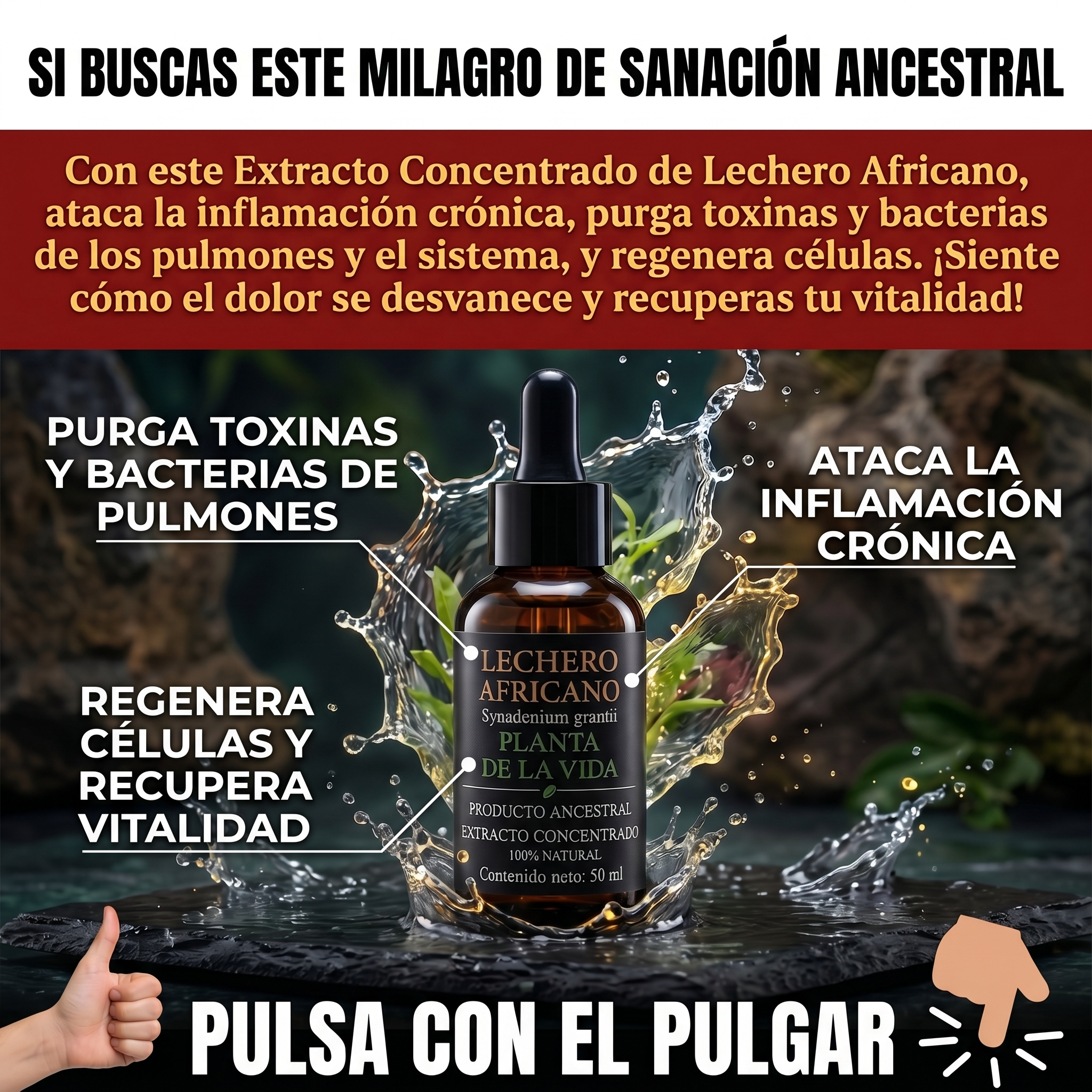 Productos Ancestrales Facebook ad