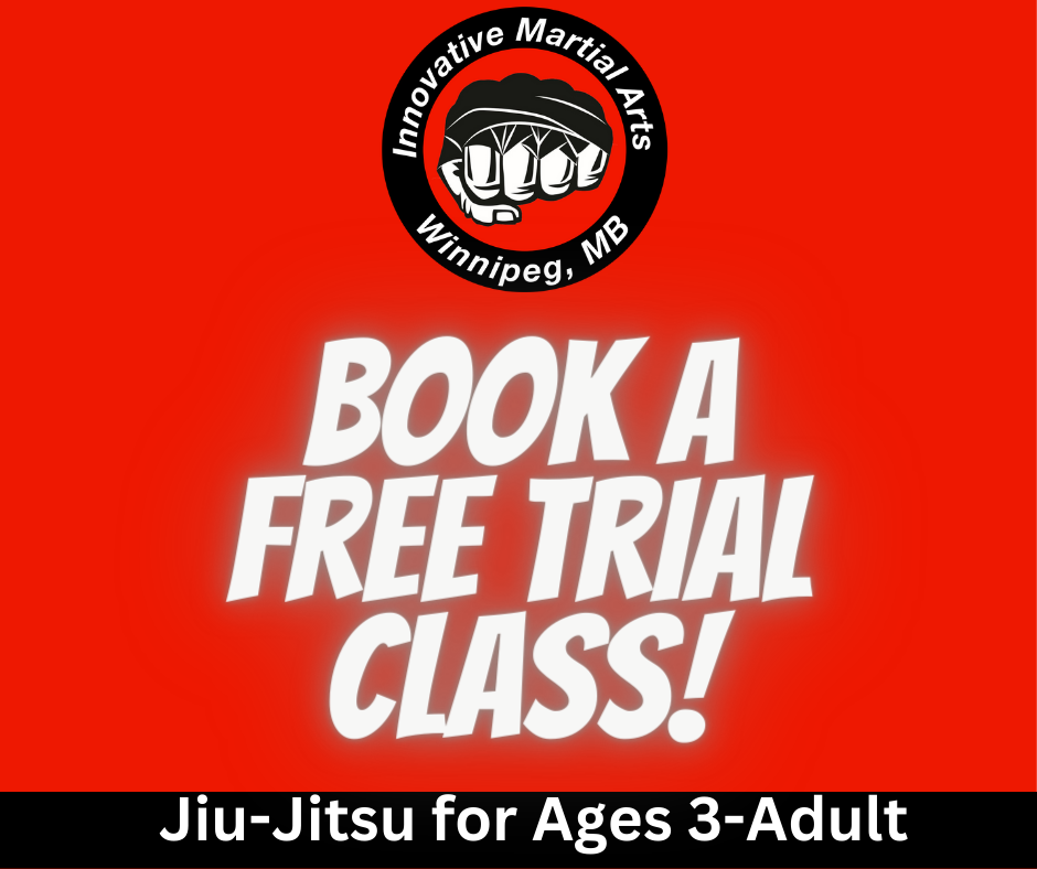 Innovative Martial Arts - Winnipeg Facebook ad