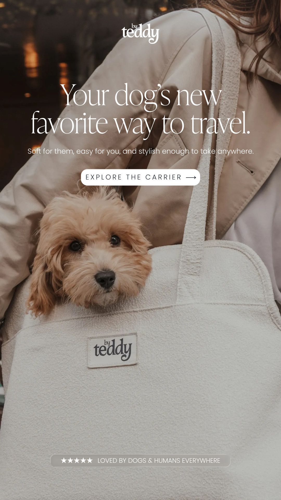 By Teddy Facebook ad