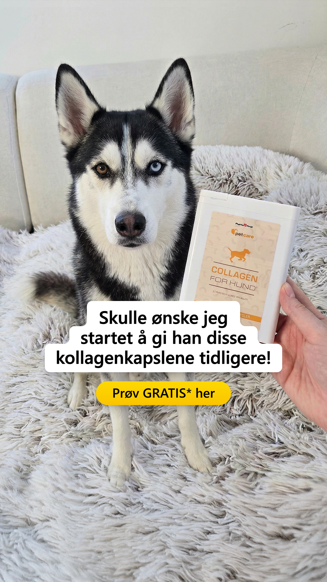 Collagen for hund Facebook ad: Prøv Collagen For Hund gratis!