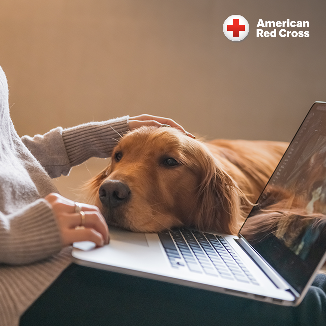 American Red Cross Training Services Facebook ad