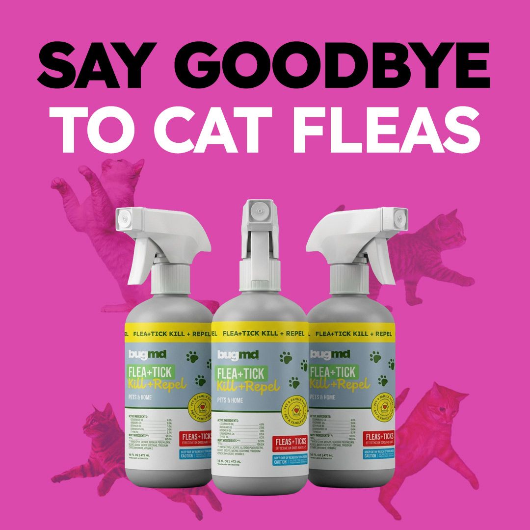 Flea & Tick Control Facebook ad