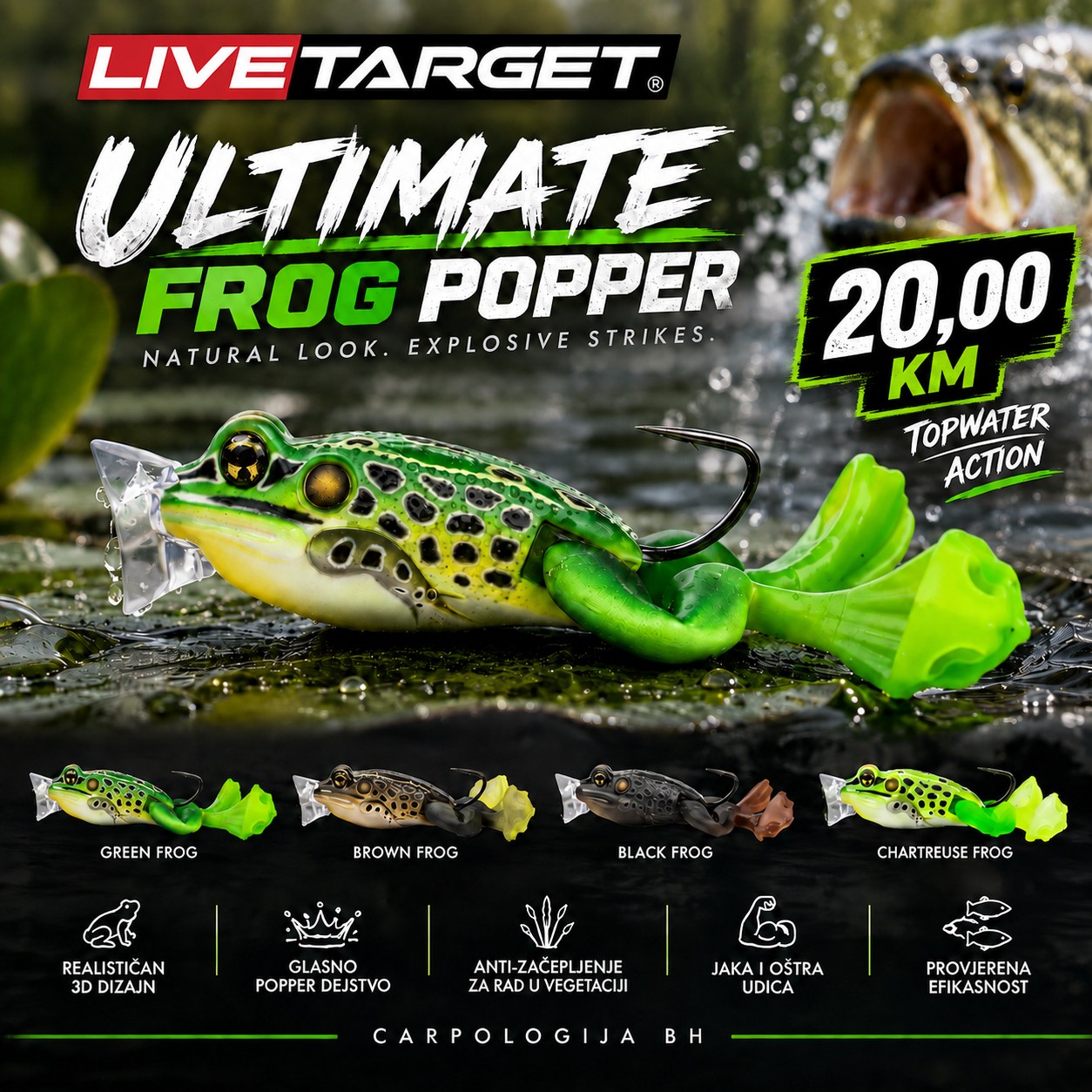 Carpologija BH Facebook ad: LIVETARGET ULTIMATE FROG POPPER