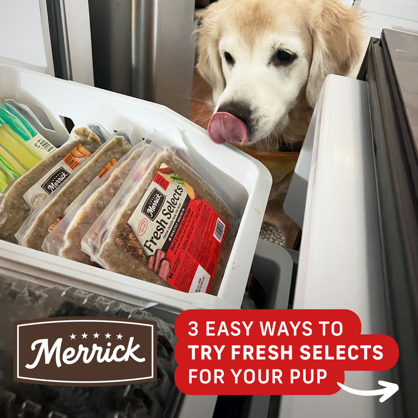Merrick Pet Care Facebook ad
